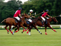 CAMPO ARGENTINO DE POLO