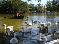 BOSQUES DE PALERMO