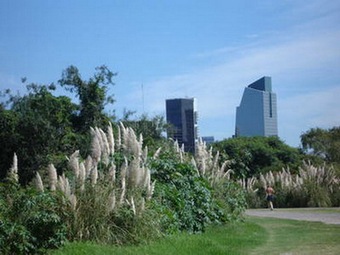 Reserva Ecológica