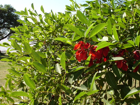 Reserva Ecológica