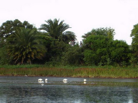 Reserva Ecológica