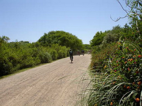 Reserva Ecológica