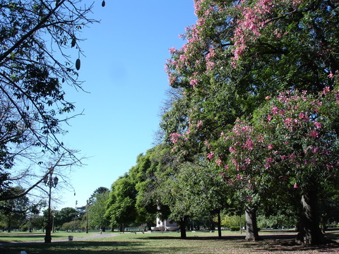 Recoleta