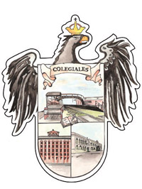 Emblema de Saavedra